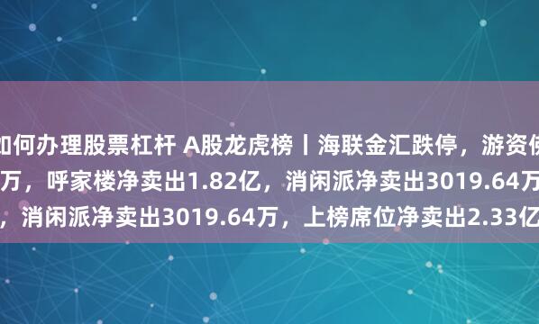 如何办理股票杠杆 A股龙虎榜丨海联金汇跌停，游资佛山系净买入5094.43万，呼家楼净卖出1.82亿，消闲派净卖出3019.64万，上榜席位净卖出2.33亿