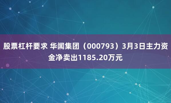 股票杠杆要求 华闻集团（000793）3月3日主力资金净卖出1185.20万元