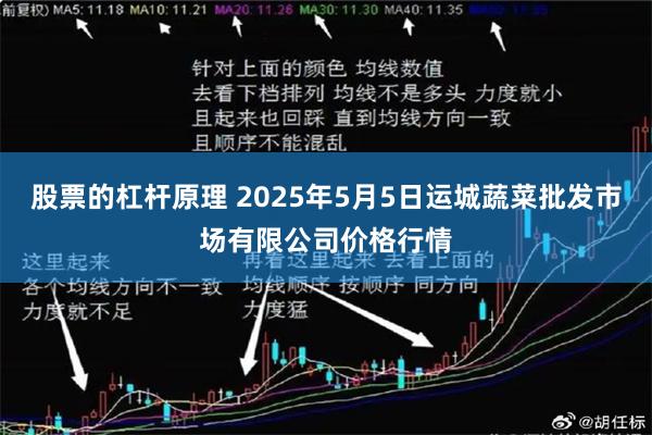 股票的杠杆原理 2025年5月5日运城蔬菜批发市场有限公司价格行情