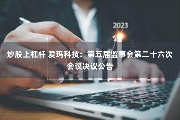 炒股上杠杆 爱玛科技：第五届监事会第二十六次会议决议公告