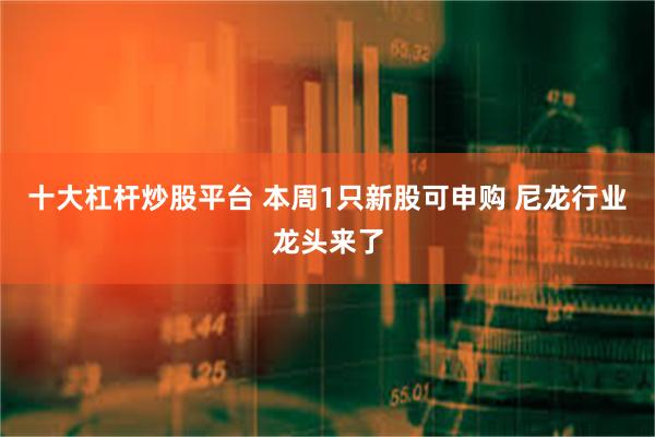 十大杠杆炒股平台 本周1只新股可申购 尼龙行业龙头来了