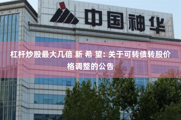 杠杆炒股最大几倍 新 希 望: 关于可转债转股价格调整的公告