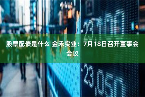 股票配债是什么 金禾实业：7月18日召开董事会会议