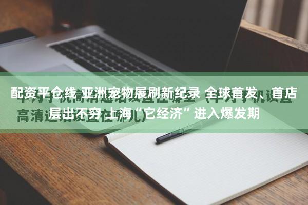 配资平仓线 亚洲宠物展刷新纪录 全球首发、首店层出不穷 上海“它经济”进入爆发期