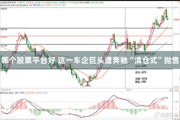哪个股票平台好 这一车企巨头遭奔驰“清仓式”抛售